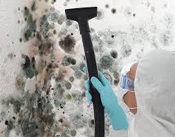 Best Emergency Mold Remediation  in Cheat Lake, WV